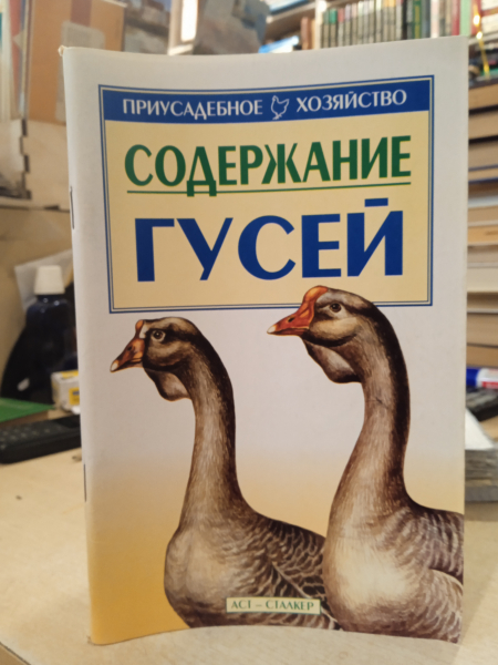 Содержание гусей для начинающих. Содержание гусей для начинающих