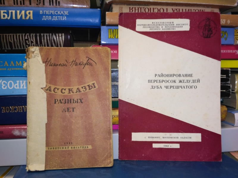 Читать книги никитиных