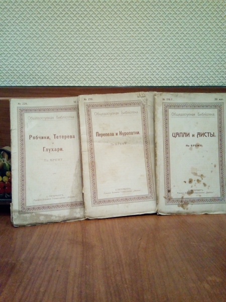 Алиб Купить Книгу Спб